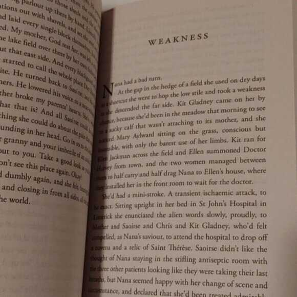 3/$13  The Queen of Dirt Island Adult novel softcover book by Donal Ryan - Picture 3 of 4